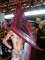 Dream = pyramide head