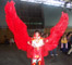 Suzaku Fushigi yugi (ah les ailes!!)